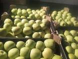 Яблоки широкий ассортимент - фото 3