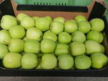 ЯБЛОКО ГОЛДЕН - фото 3