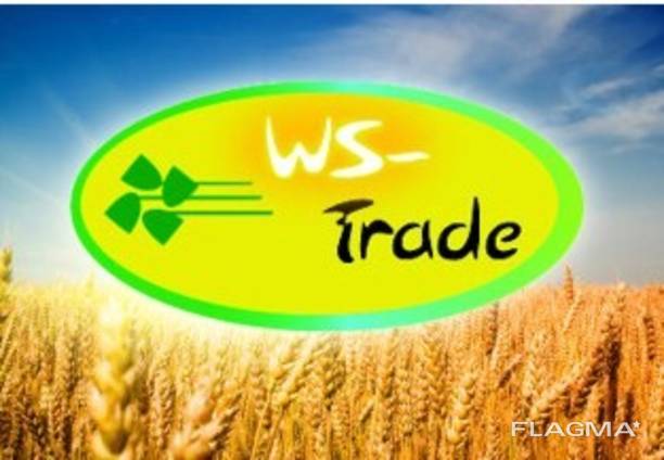 Закупаем лен, сафлор, вику, полбу, твердую пшеницу и другие