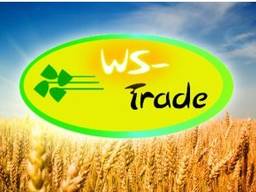 Закупаем зерно