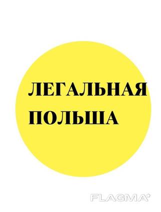 PKK (Profil Kandydata Kierowcy)