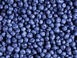 Замороженная черника