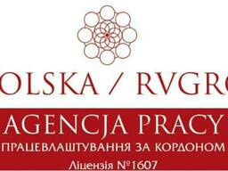 Zapraszamy do zapoznania się z ofertą Agencji Pracy