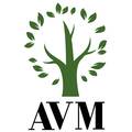 AVM Engineering, Sp. z o.o.