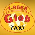 Glob Cab Corporation, Sp. z o.o.
