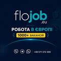 FLOJOB, JDG